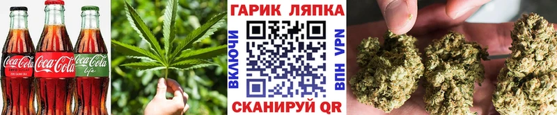 как найти Баксан Cannafood конопля