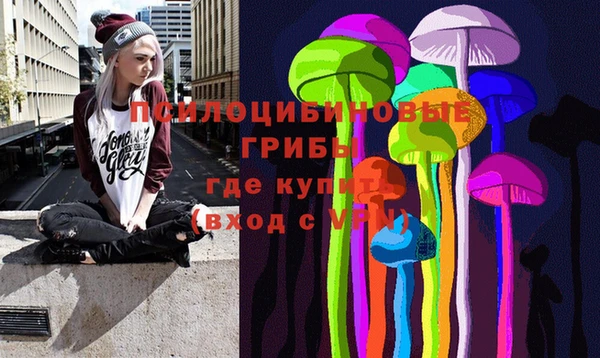 PSILOCYBIN Балабаново