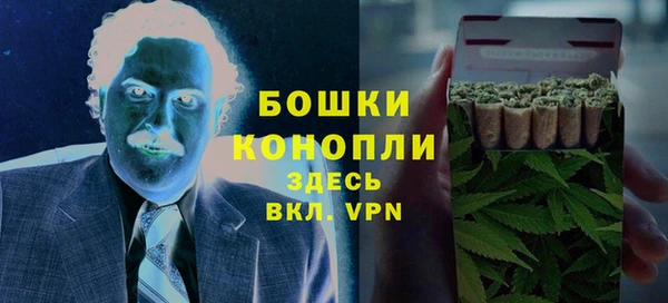 PSILOCYBIN Балабаново