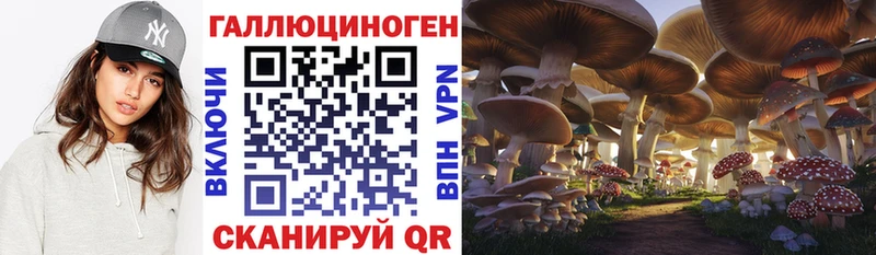 Псилоцибиновые грибы ЛСД  цены наркотик  Баксан 