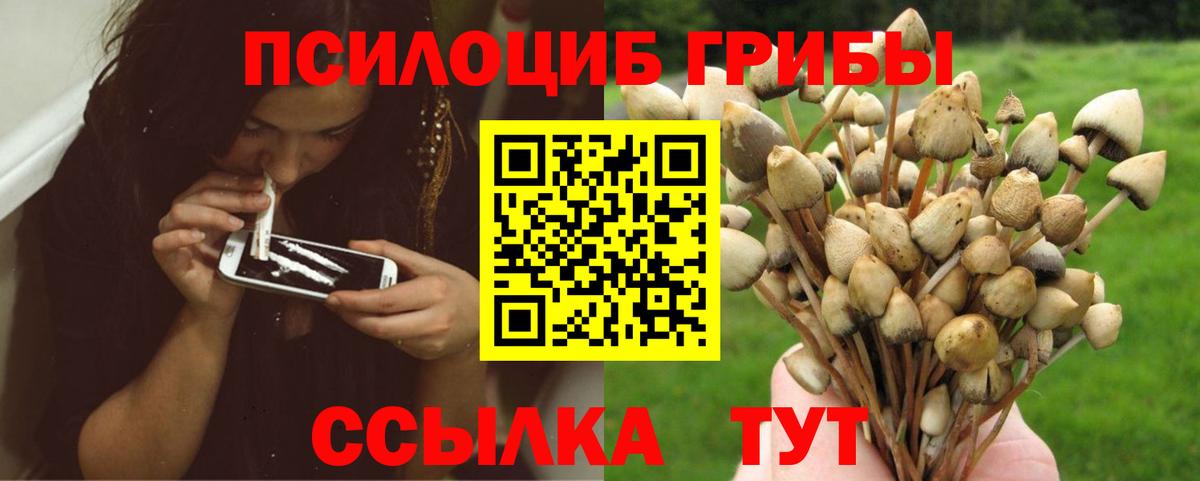 Галлюциногенные грибы ЛСД Баксан