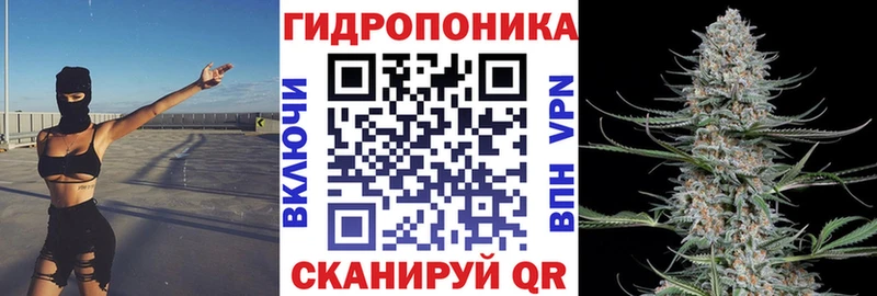 Канабис White Widow  закладки  Баксан 